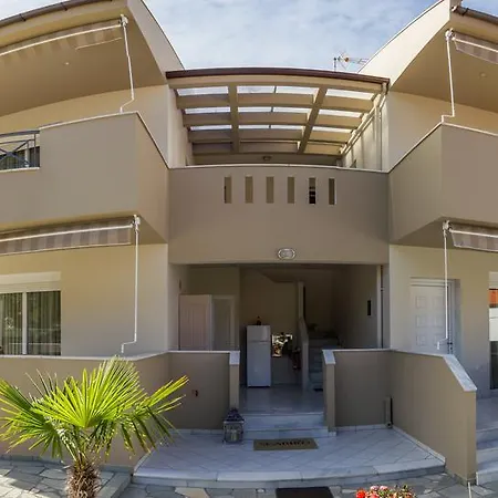 Seabird Skala Potamia (Thasos)