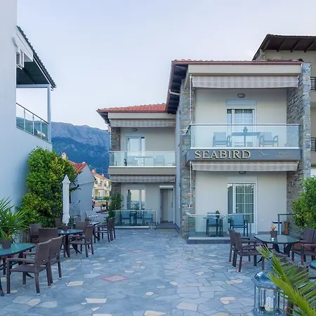 Seabird Skala Potamia (Thasos)