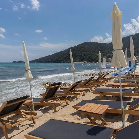 Seabird Skala Potamia (Thasos)