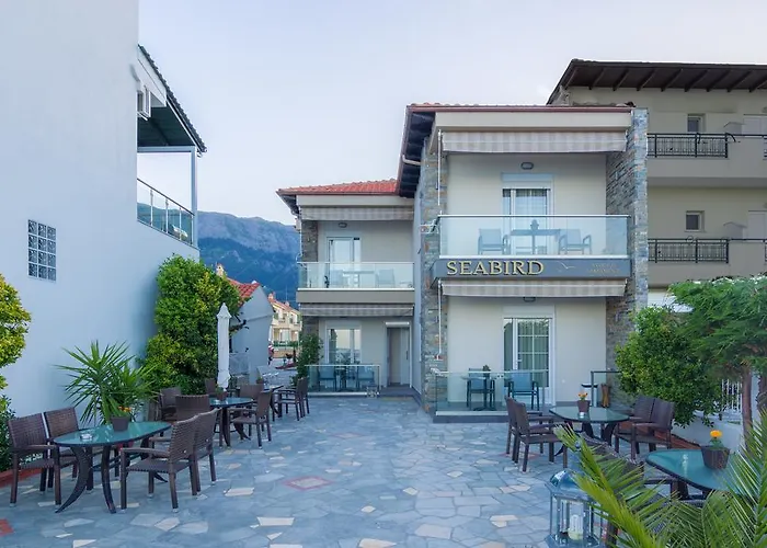 Seabird Skala Potamia (Thasos)