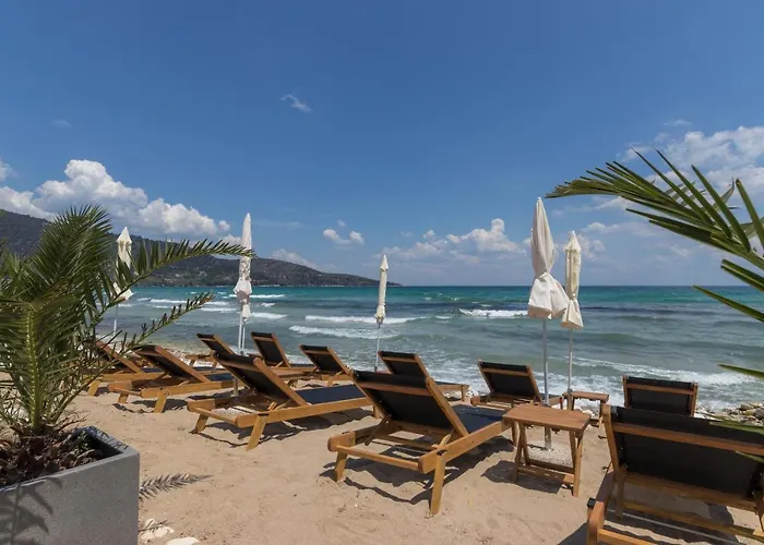 Seabird * Skala Potamia (Thasos)